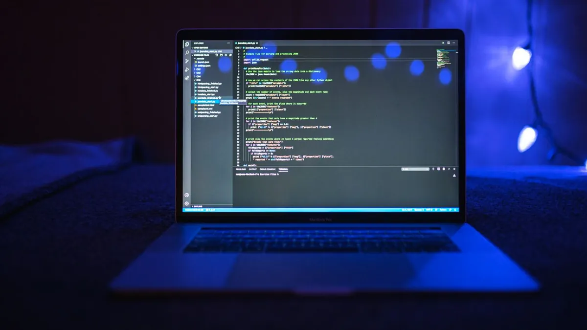 Programavimo kursai ir individualios pamokos Vilniuje