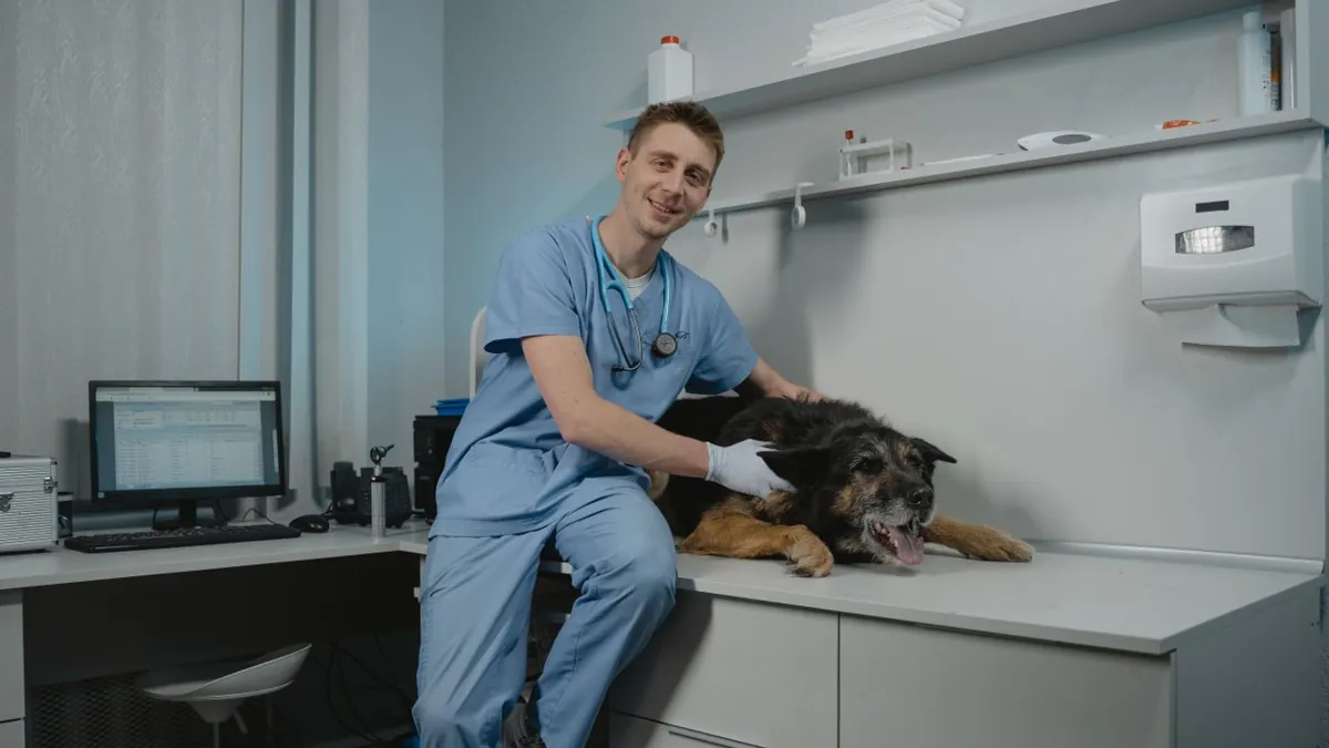 Veterinarai Vilniuje – gyvūnų gydytojo konsultacija