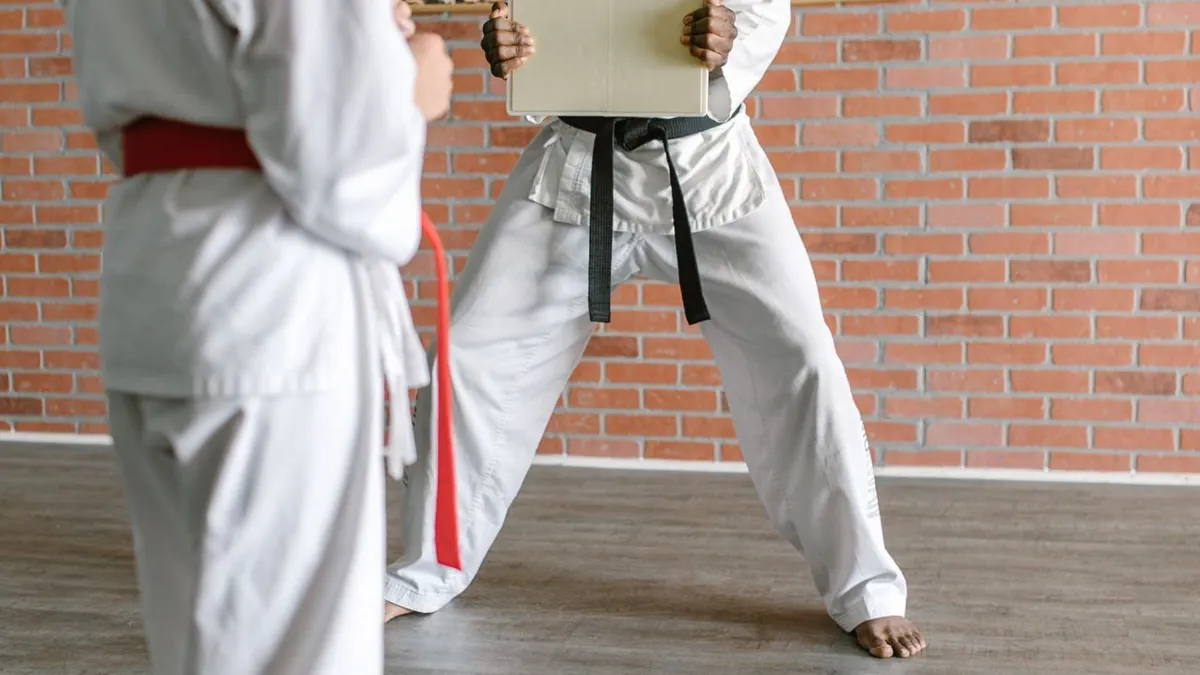 Wing Chun Kung Fu treneriai ir treniruotės Vilniuje